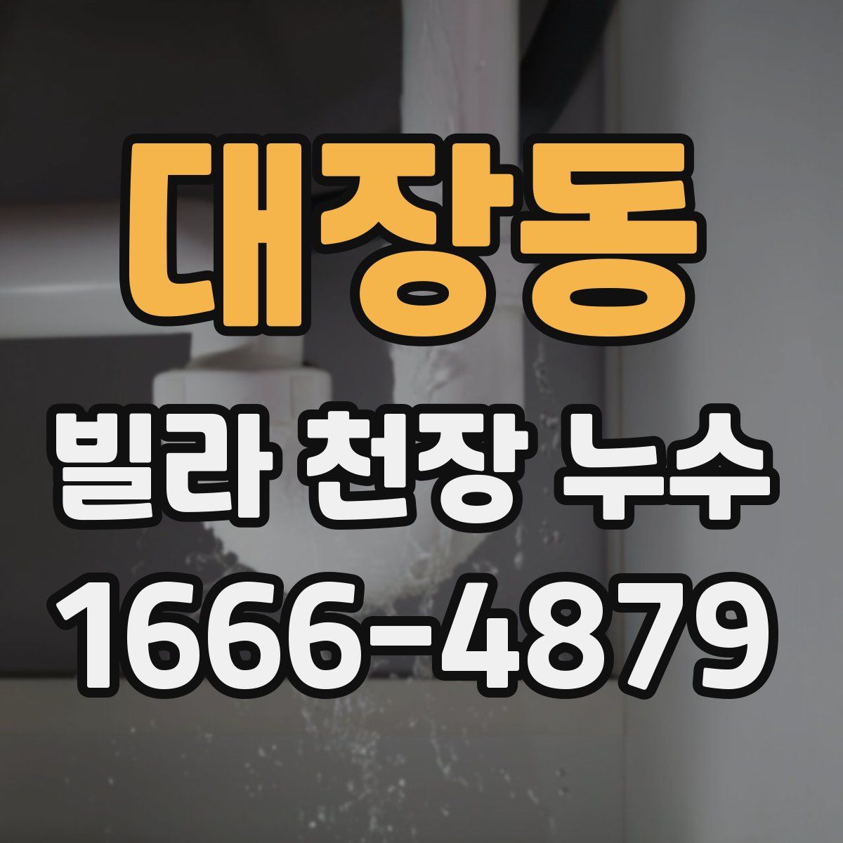 대장동 빌라 천장 누수