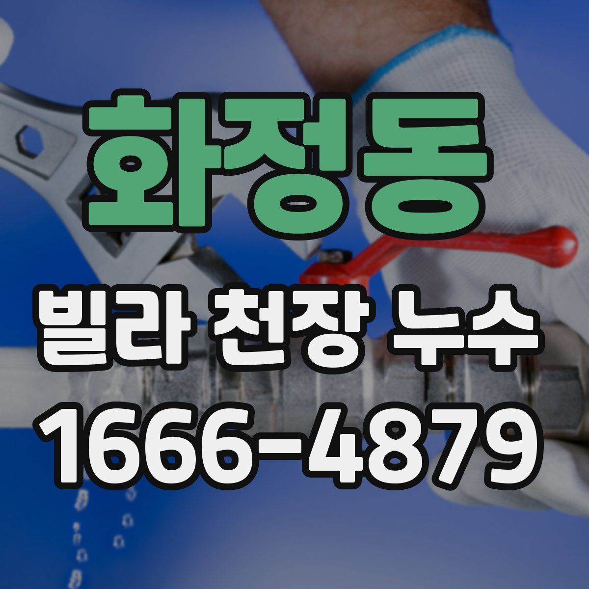 화정동 빌라 천장 누수
