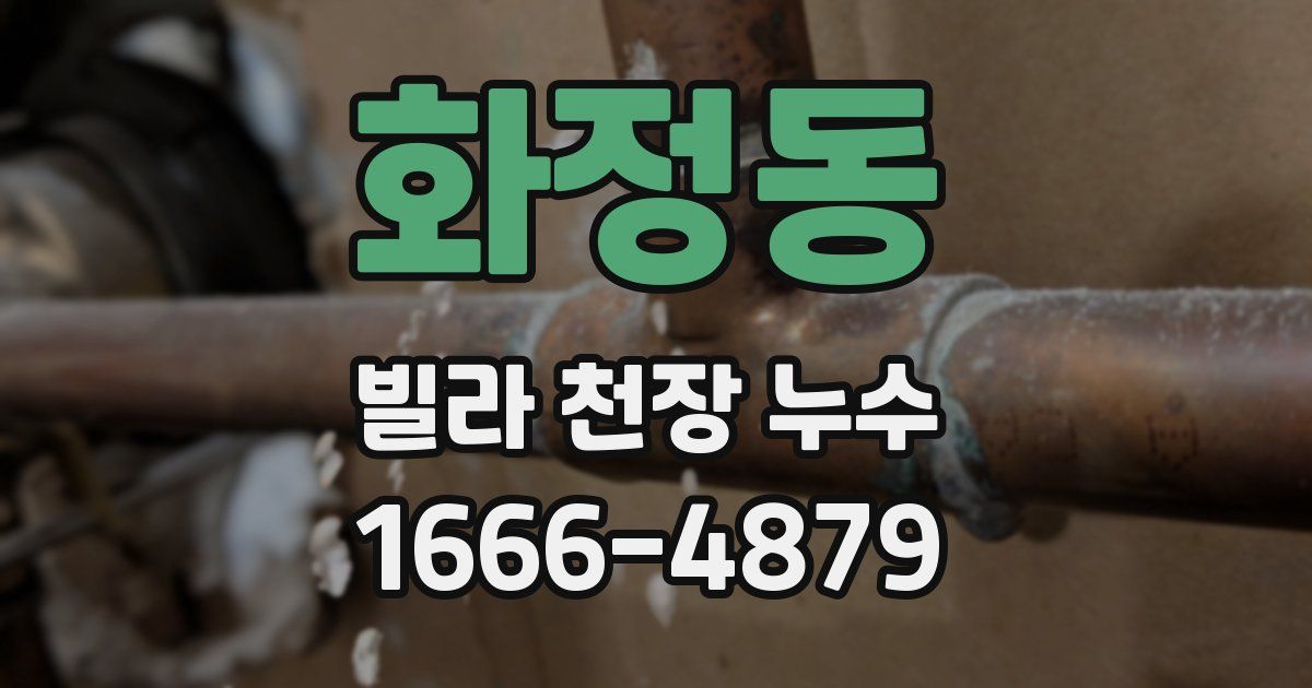 화정동 빌라 천장 누수