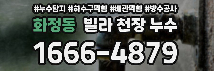 화정동 빌라 천장 누수