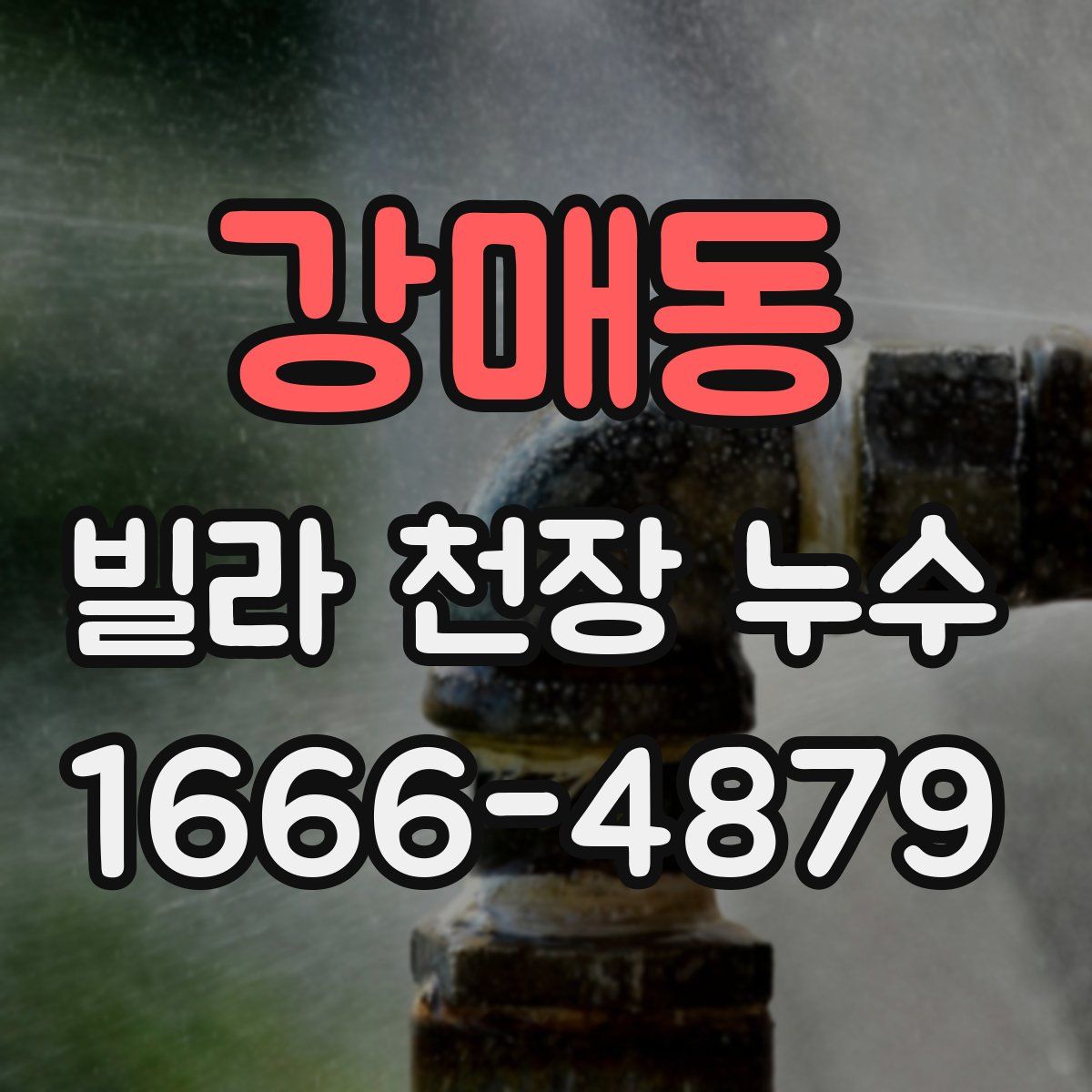 강매동 빌라 천장 누수