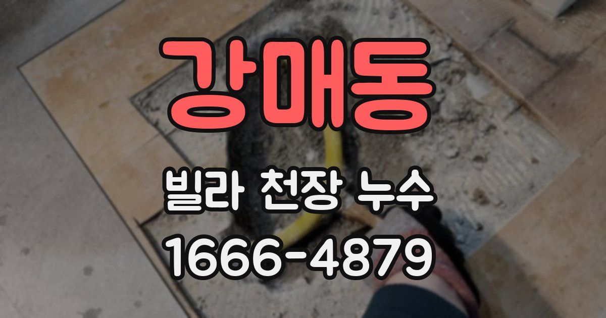 강매동 빌라 천장 누수