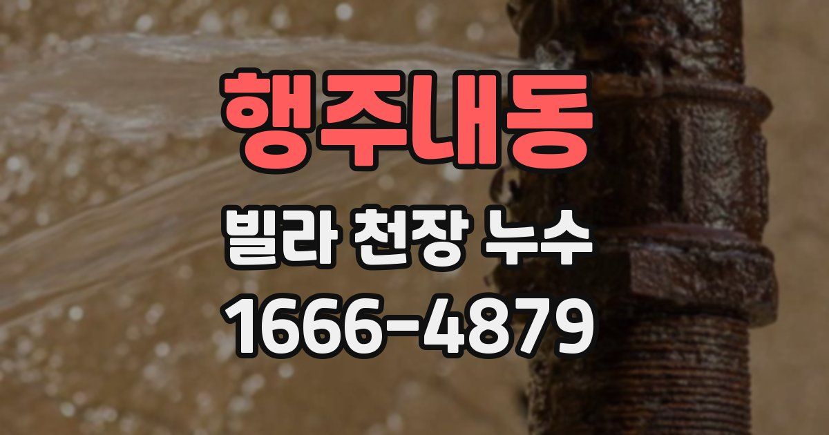 행주내동 빌라 천장 누수