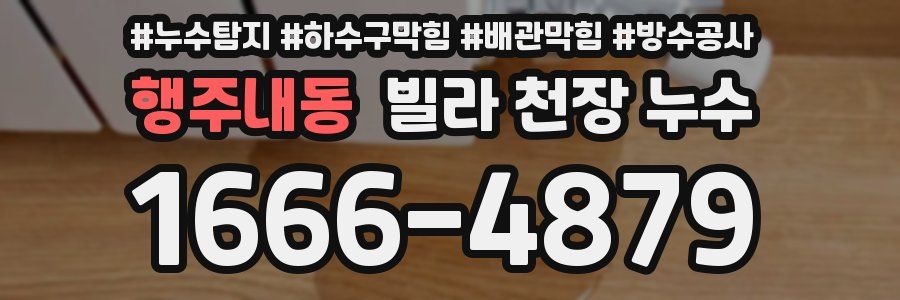 행주내동 빌라 천장 누수