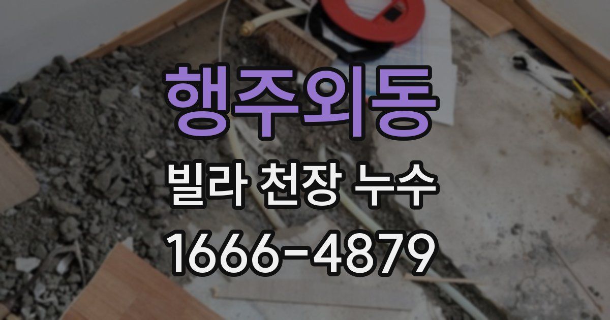 행주외동 빌라 천장 누수
