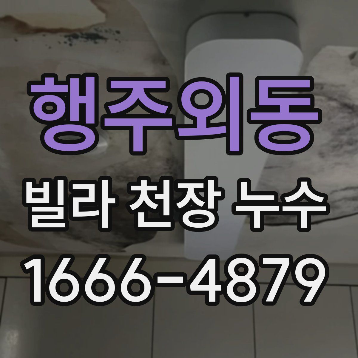 행주외동 빌라 천장 누수