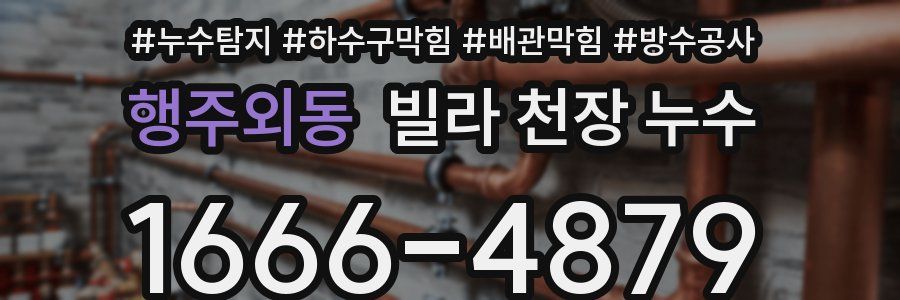행주외동 빌라 천장 누수