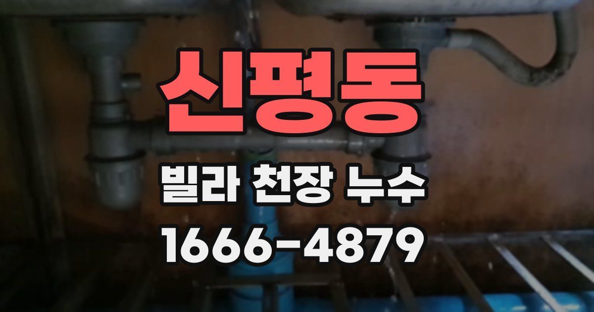 신평동 빌라 천장 누수