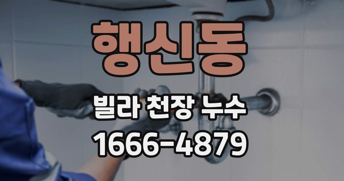 행신동 빌라 천장 누수