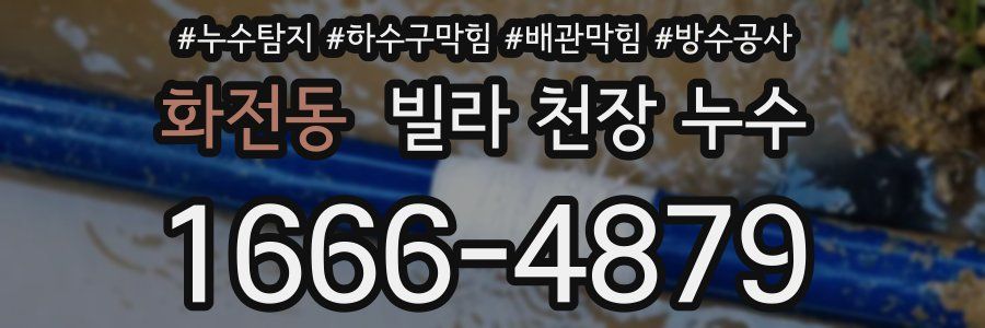 화전동 빌라 천장 누수