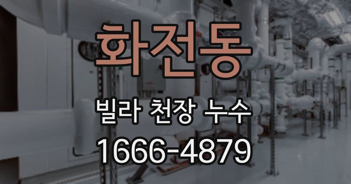 화전동 빌라 천장 누수
