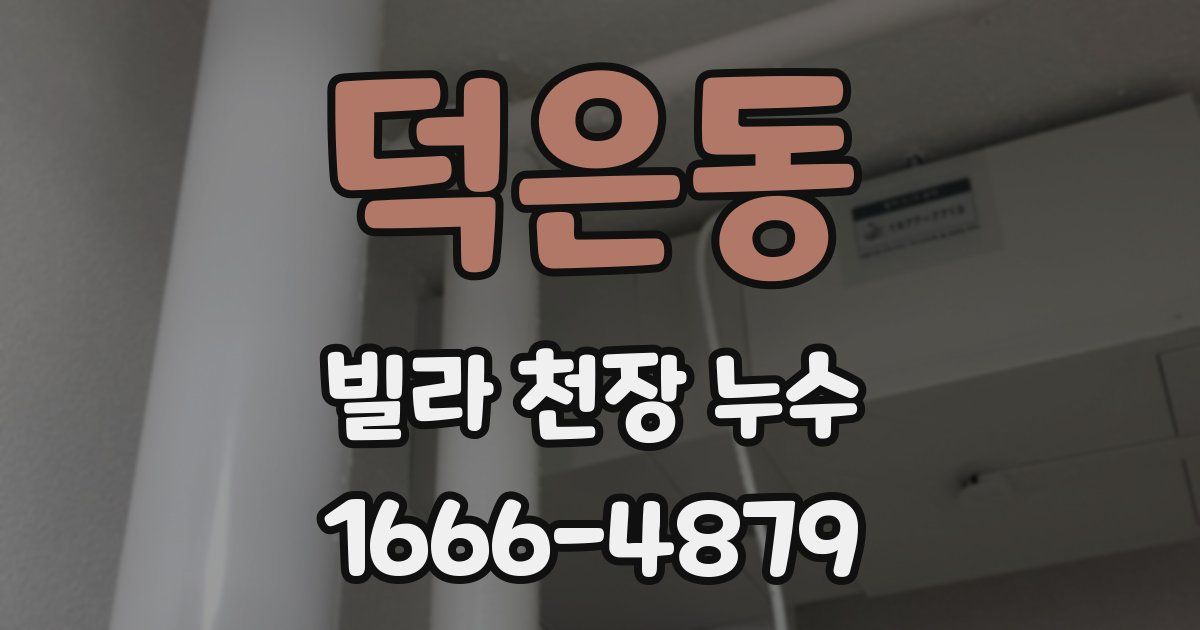 덕은동 빌라 천장 누수