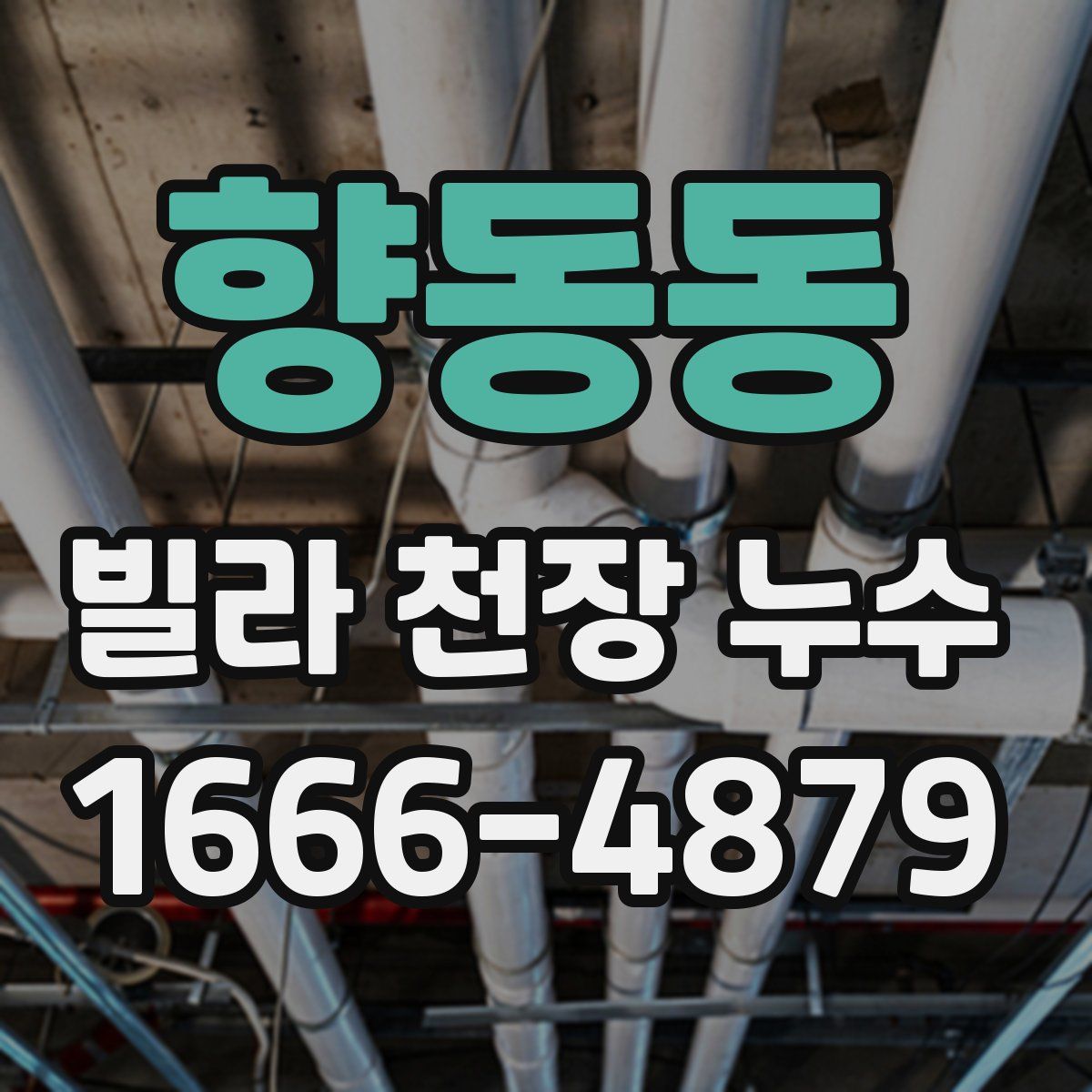 향동동 빌라 천장 누수
