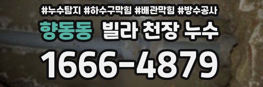 향동동 빌라 천장 누수