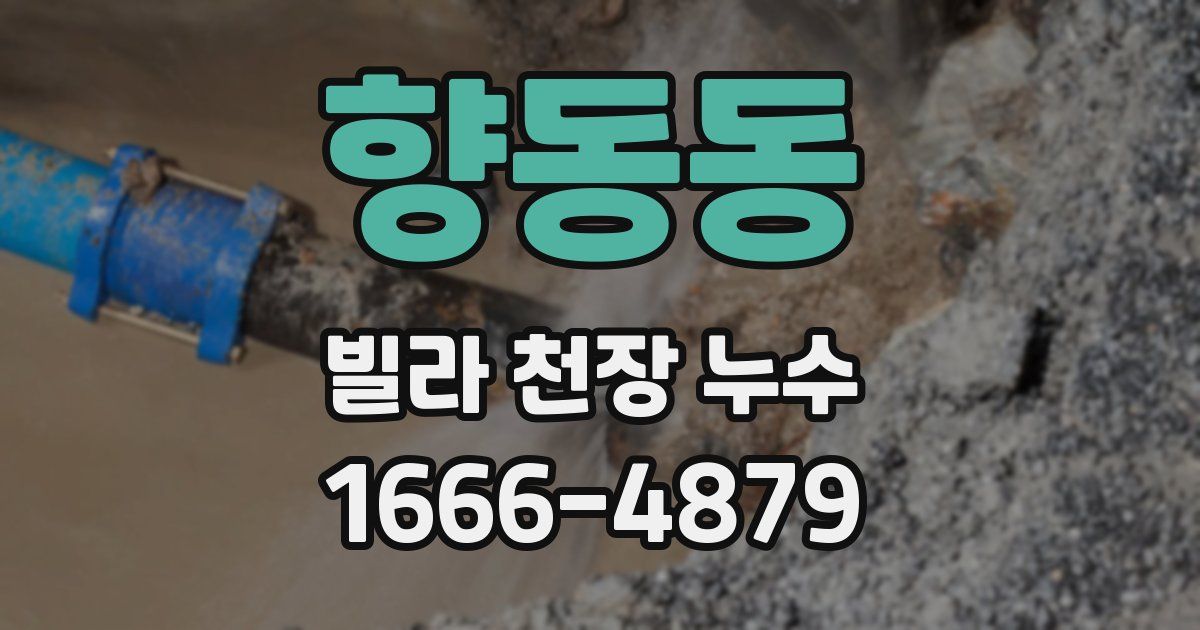 향동동 빌라 천장 누수