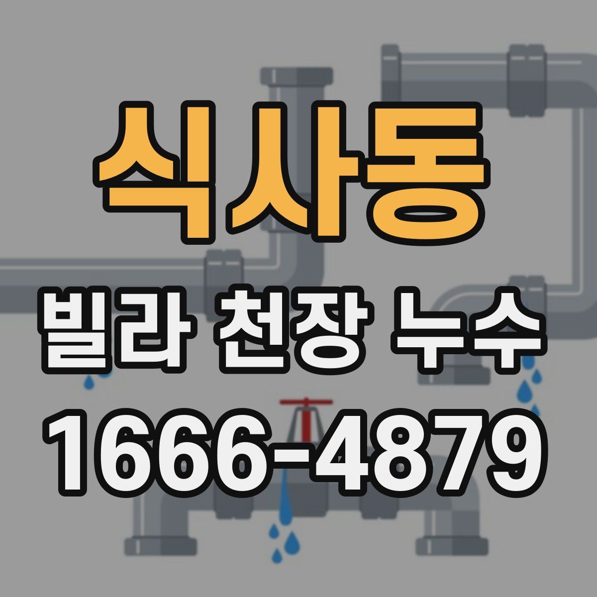 식사동 빌라 천장 누수
