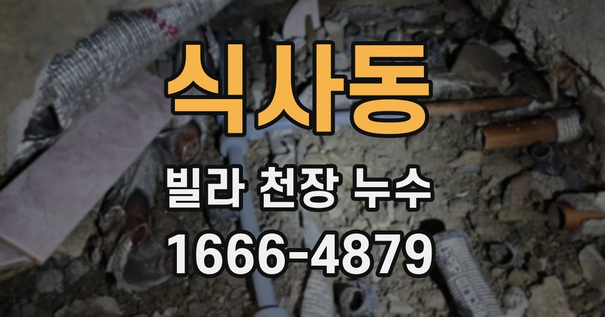 식사동 빌라 천장 누수