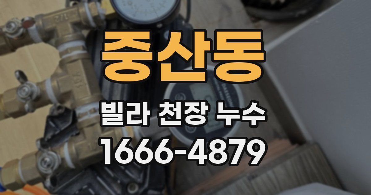 중산동 빌라 천장 누수