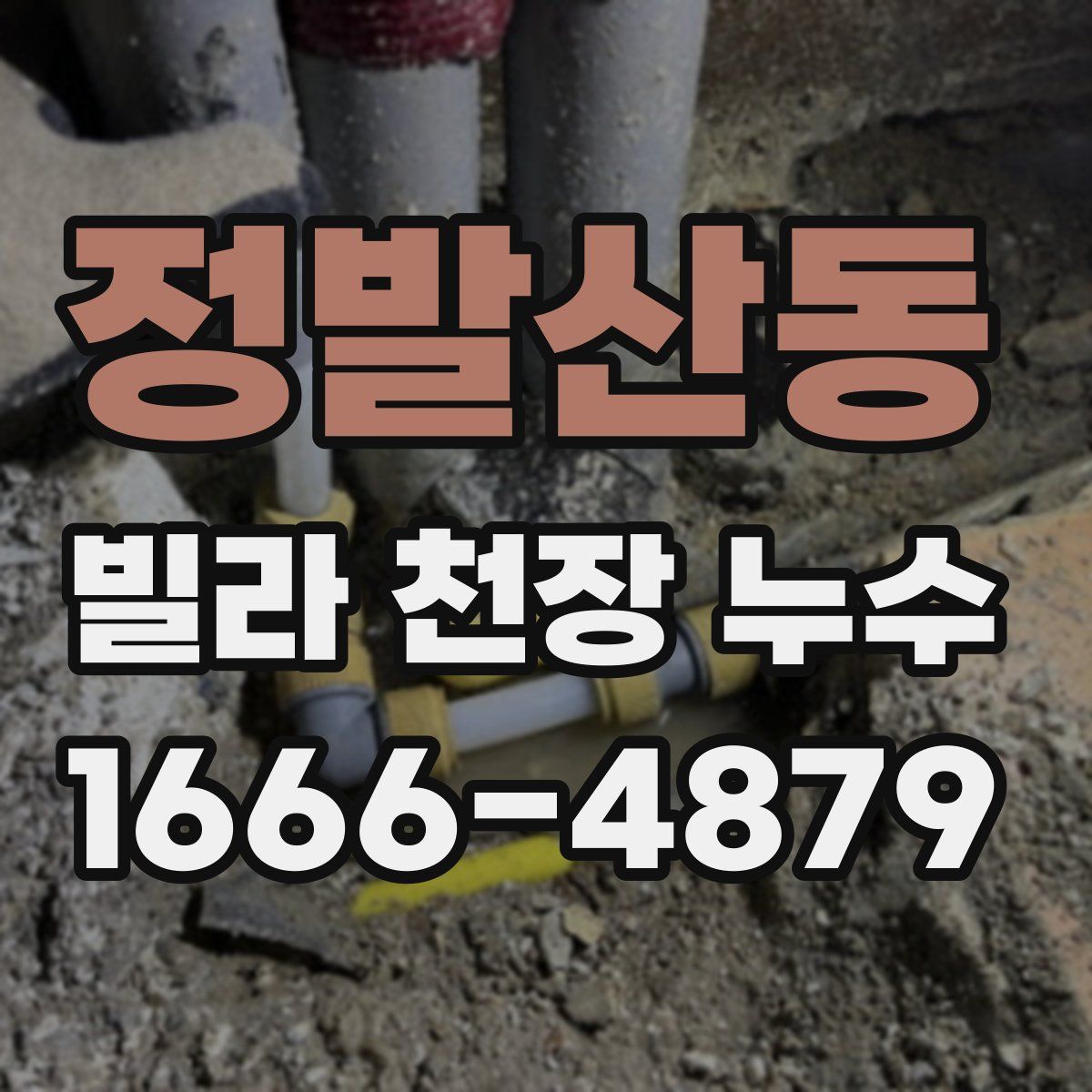 정발산동 빌라 천장 누수
