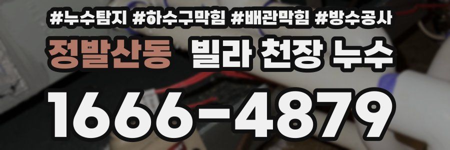 정발산동 빌라 천장 누수