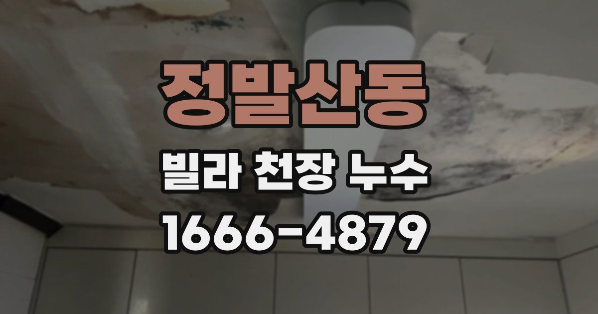 정발산동 빌라 천장 누수
