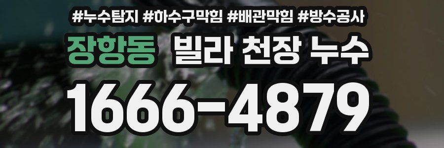 장항동 빌라 천장 누수