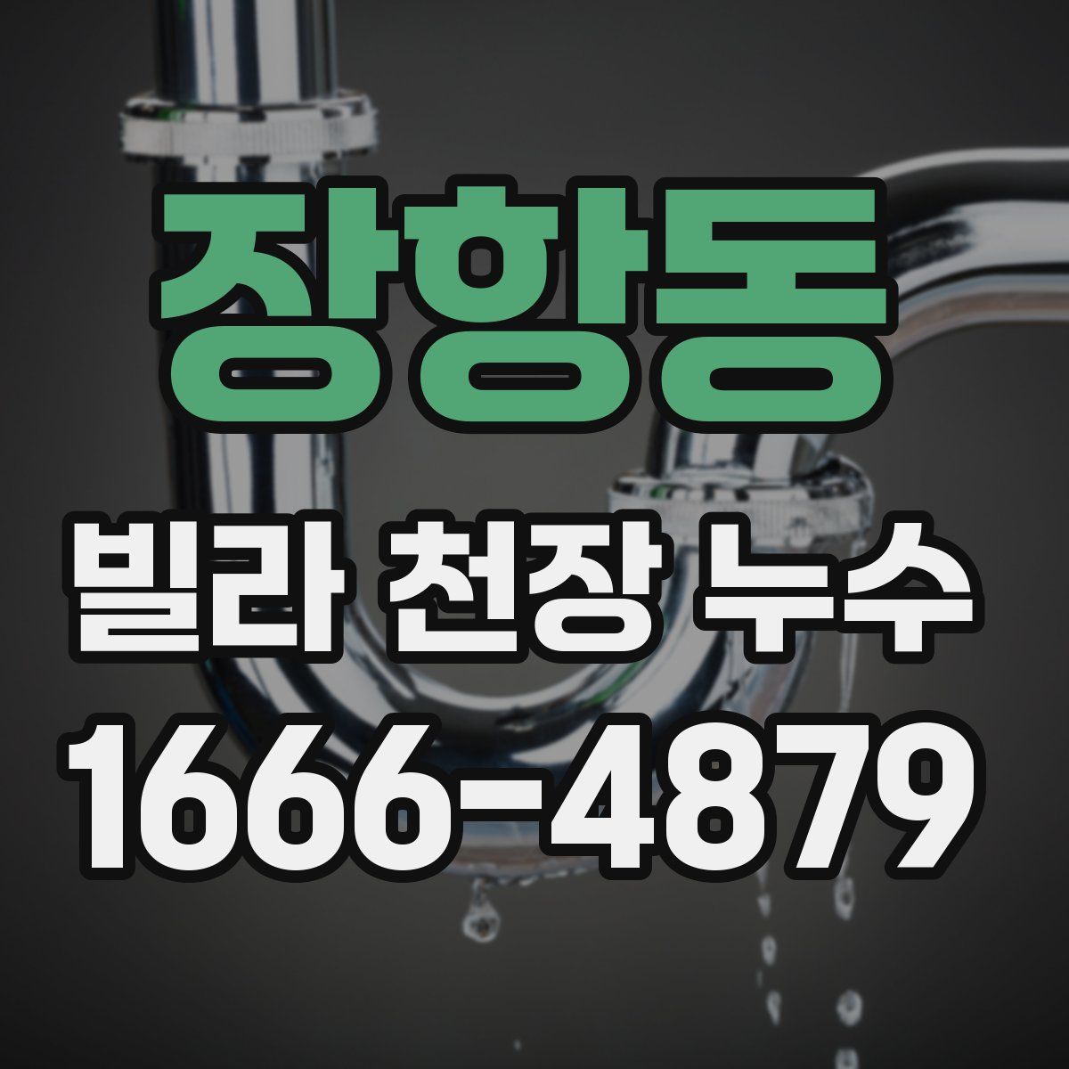 장항동 빌라 천장 누수