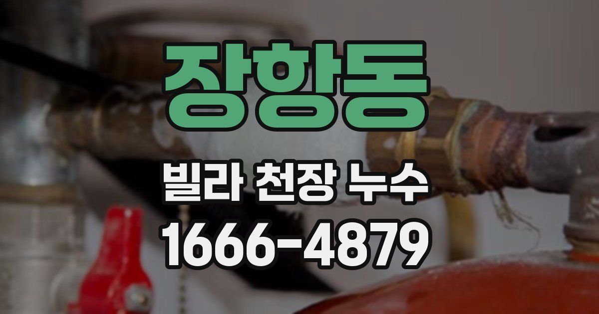 장항동 빌라 천장 누수