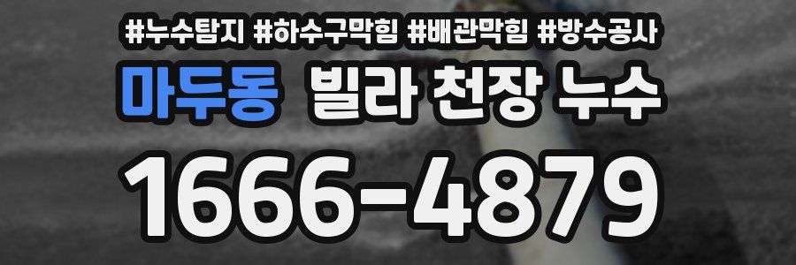 마두동 빌라 천장 누수