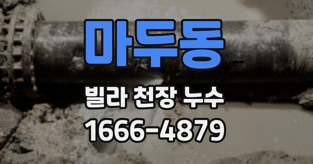 마두동 빌라 천장 누수