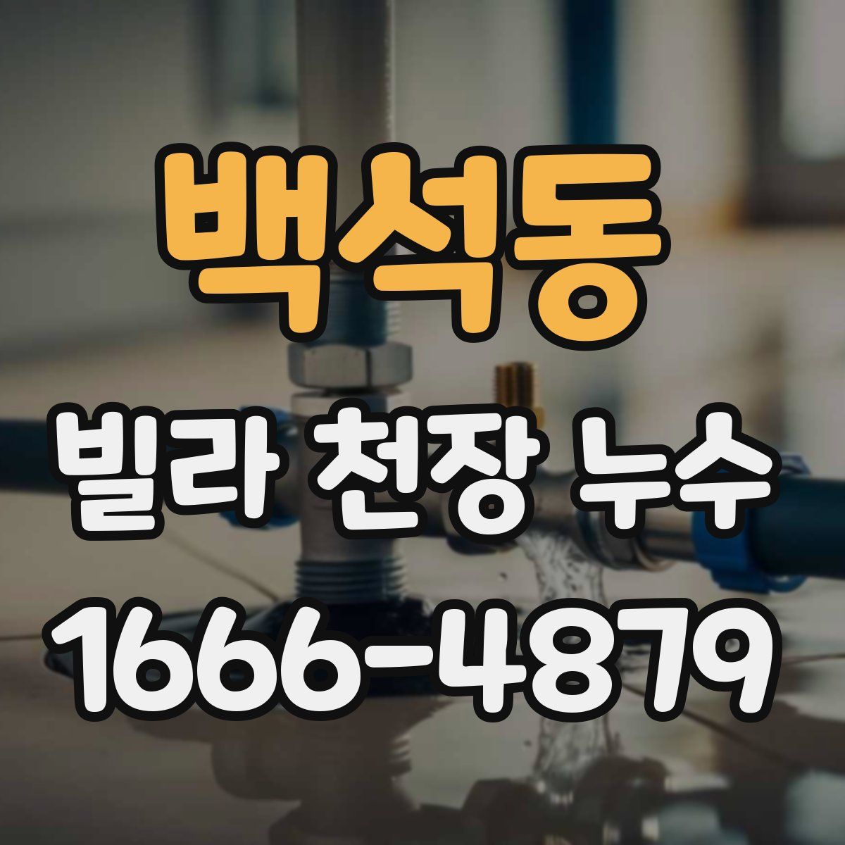백석동 빌라 천장 누수