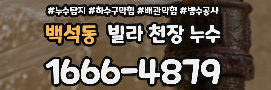 백석동 빌라 천장 누수