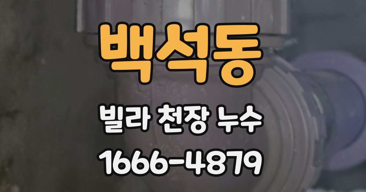백석동 빌라 천장 누수