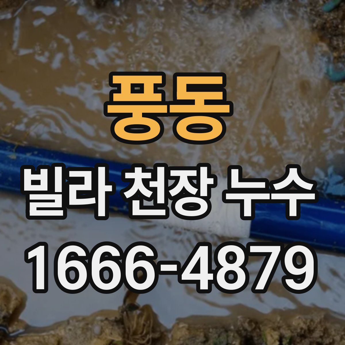 풍동 빌라 천장 누수