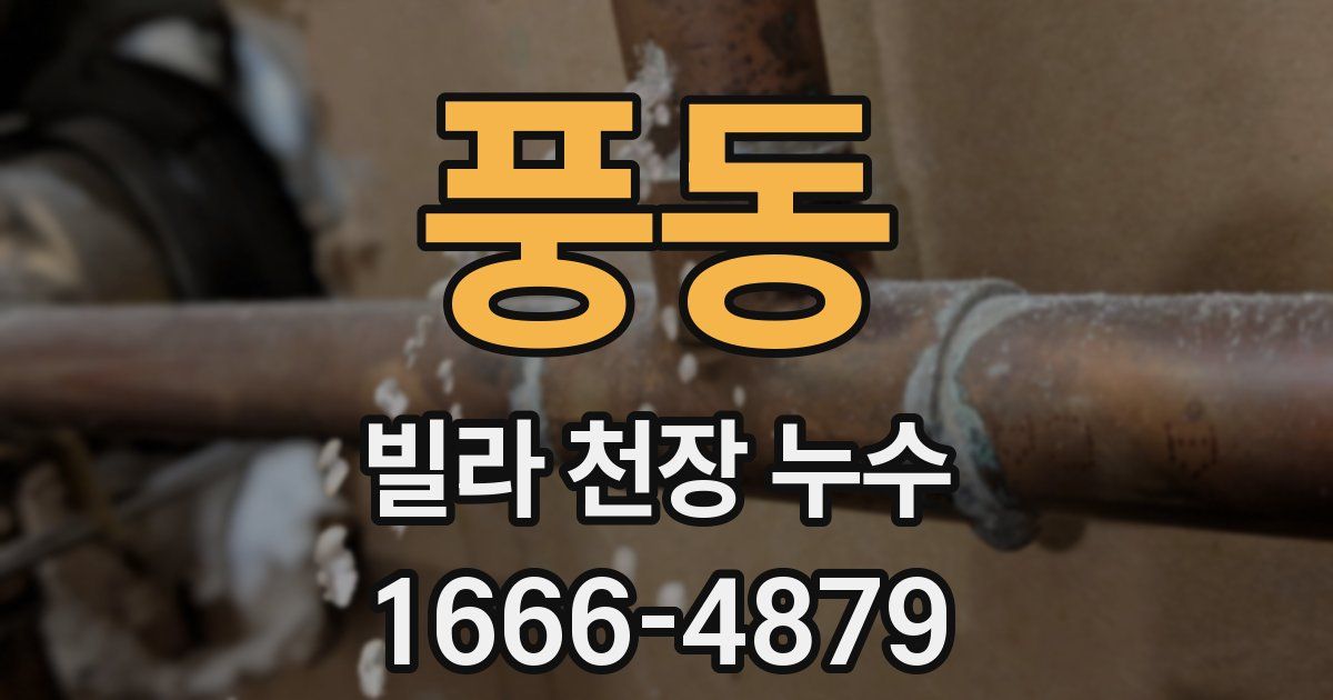 풍동 빌라 천장 누수