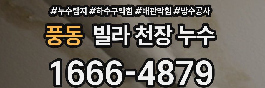 풍동 빌라 천장 누수