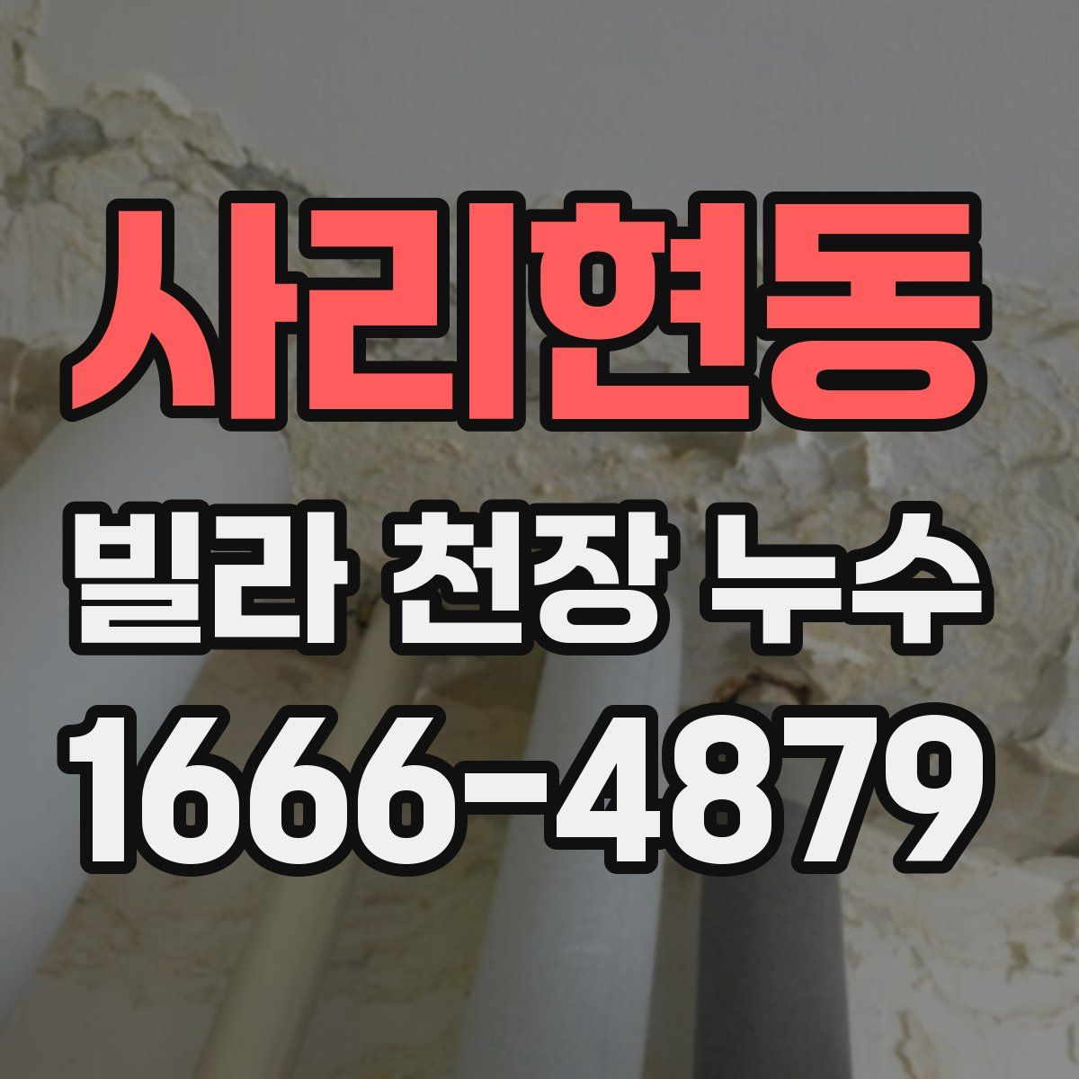 사리현동 빌라 천장 누수