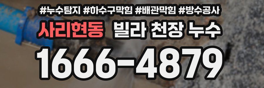 사리현동 빌라 천장 누수