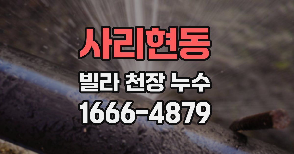 사리현동 빌라 천장 누수