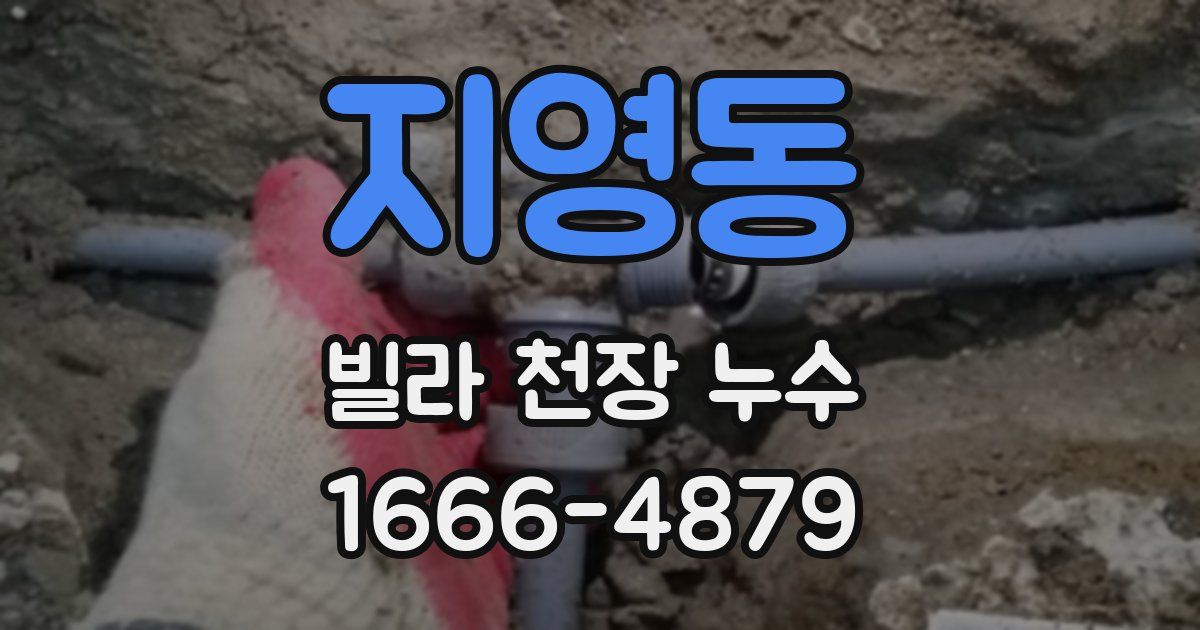 지영동 빌라 천장 누수