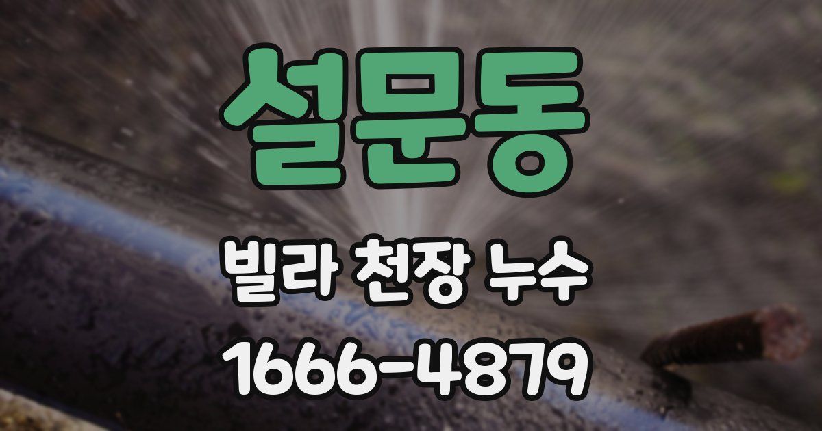 설문동 빌라 천장 누수