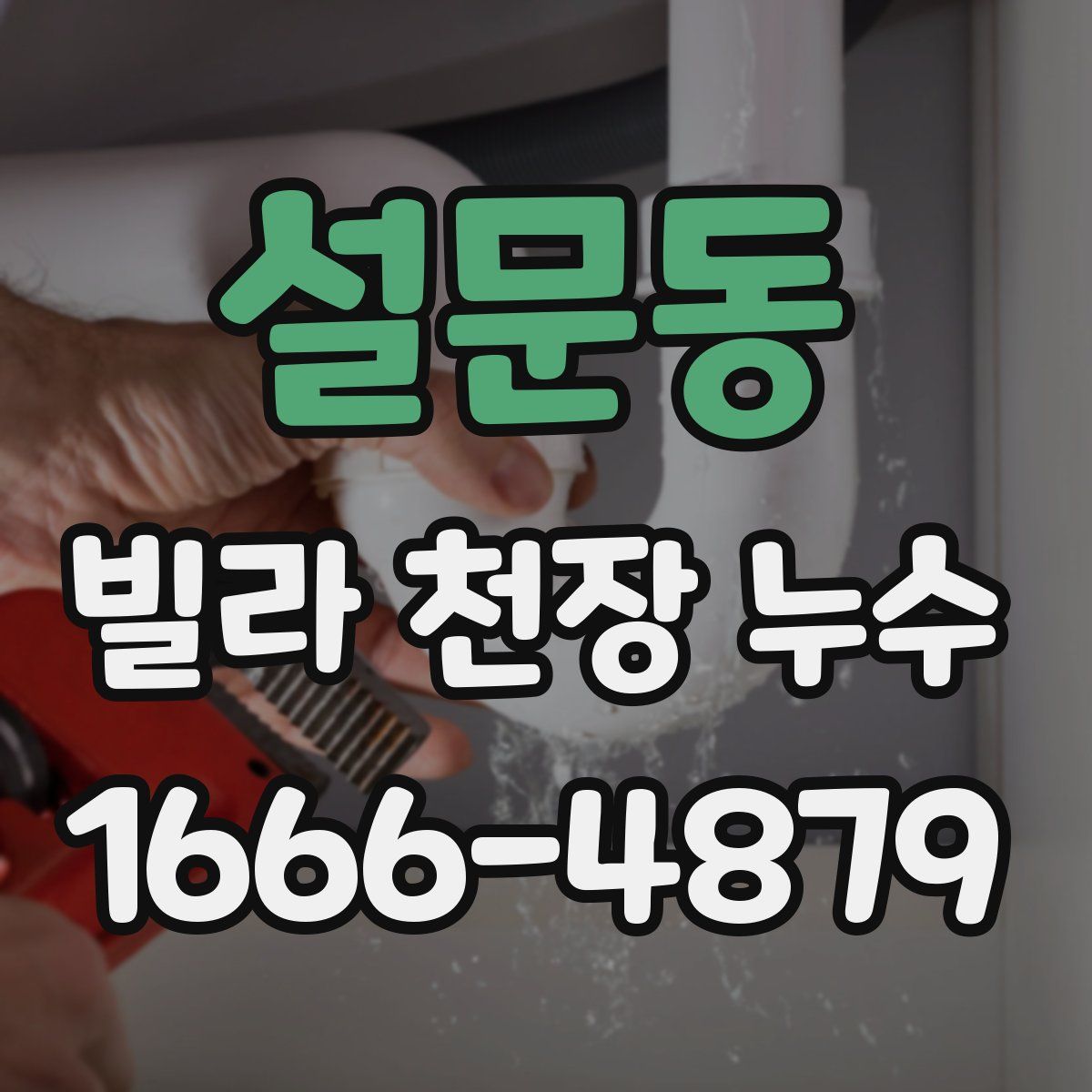 설문동 빌라 천장 누수