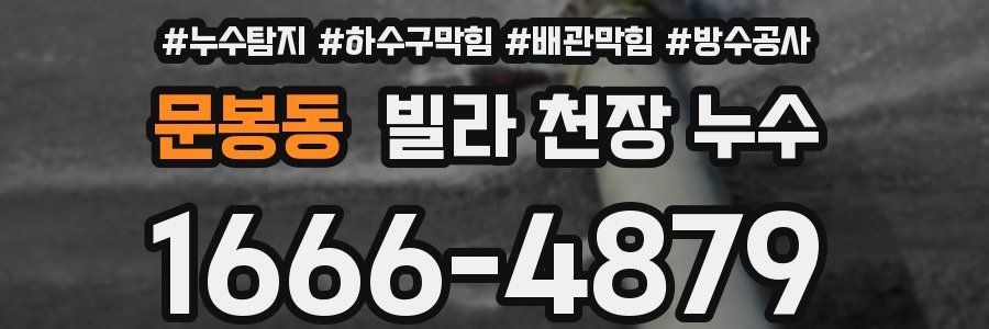 문봉동 빌라 천장 누수