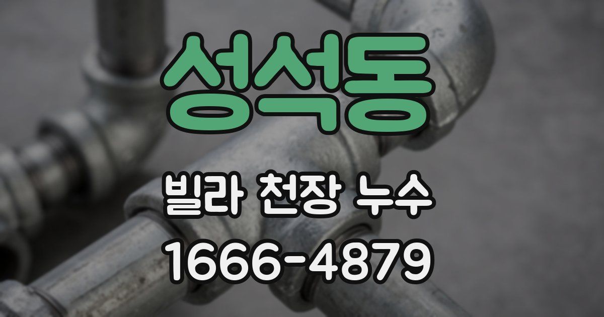 성석동 빌라 천장 누수