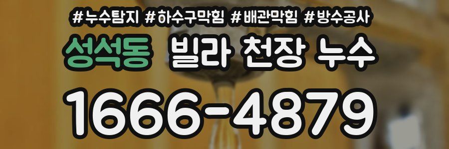 성석동 빌라 천장 누수