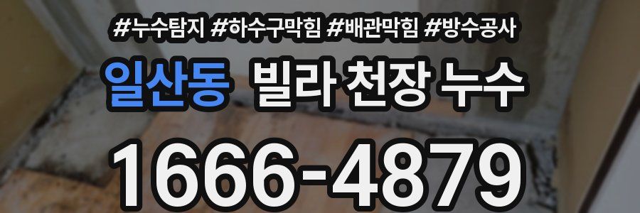 일산동 빌라 천장 누수