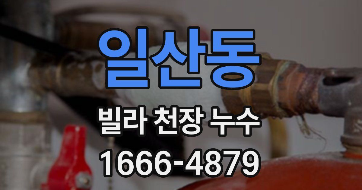 일산동 빌라 천장 누수