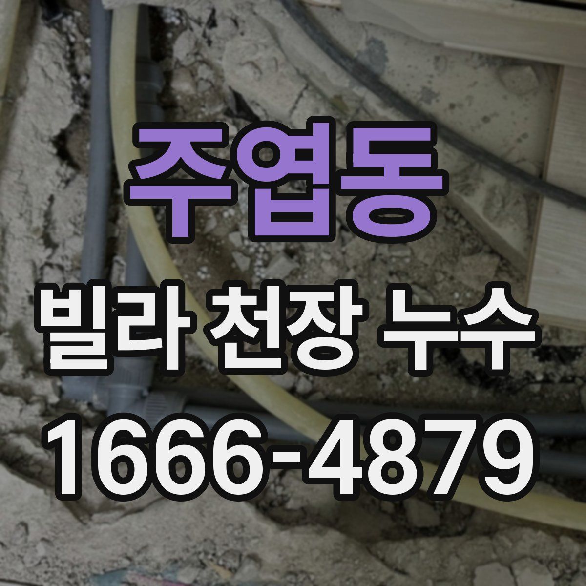 주엽동 빌라 천장 누수
