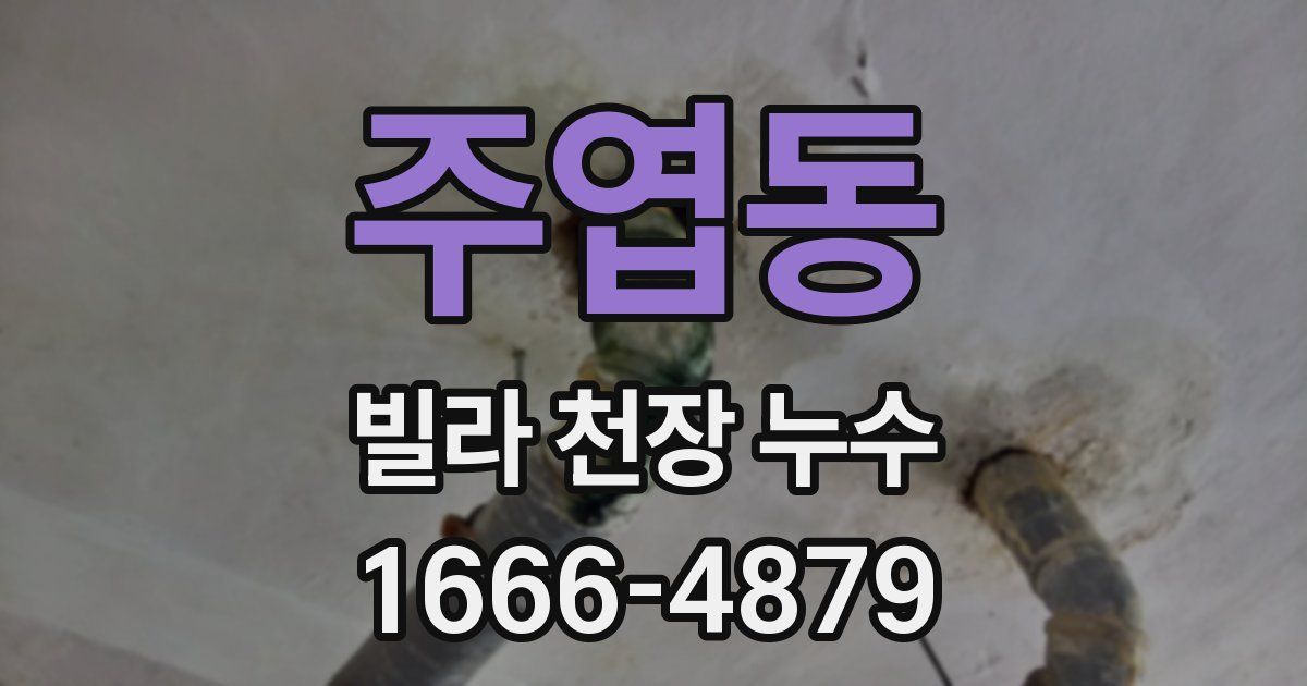 주엽동 빌라 천장 누수