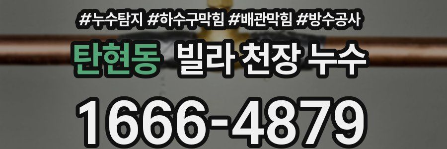 탄현동 빌라 천장 누수